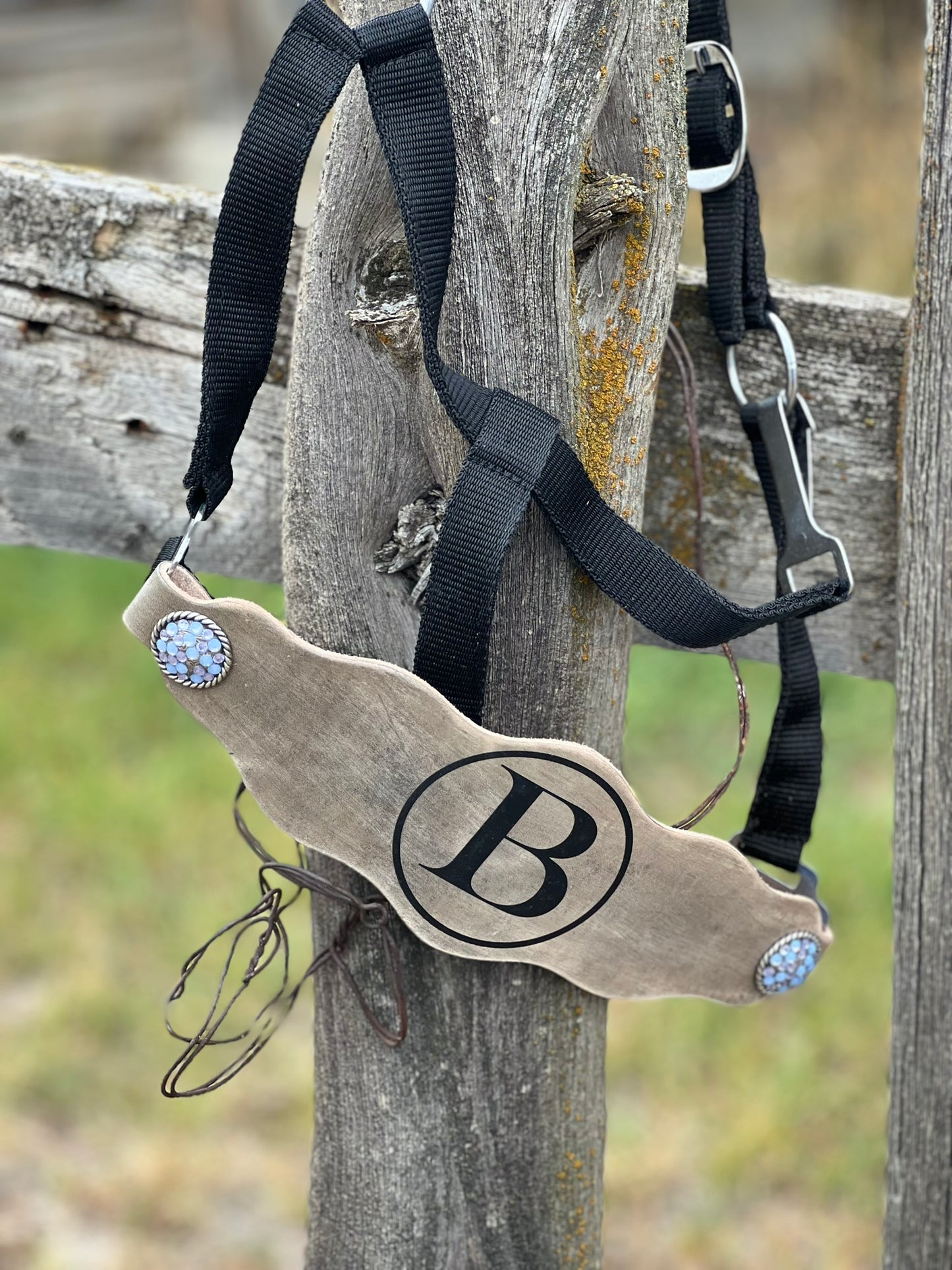 Custom Horse Halter