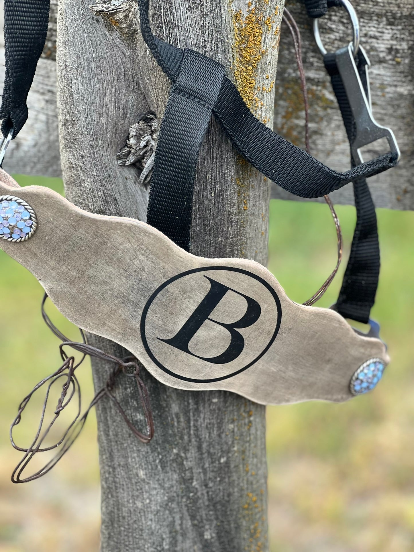 Custom Horse Halter