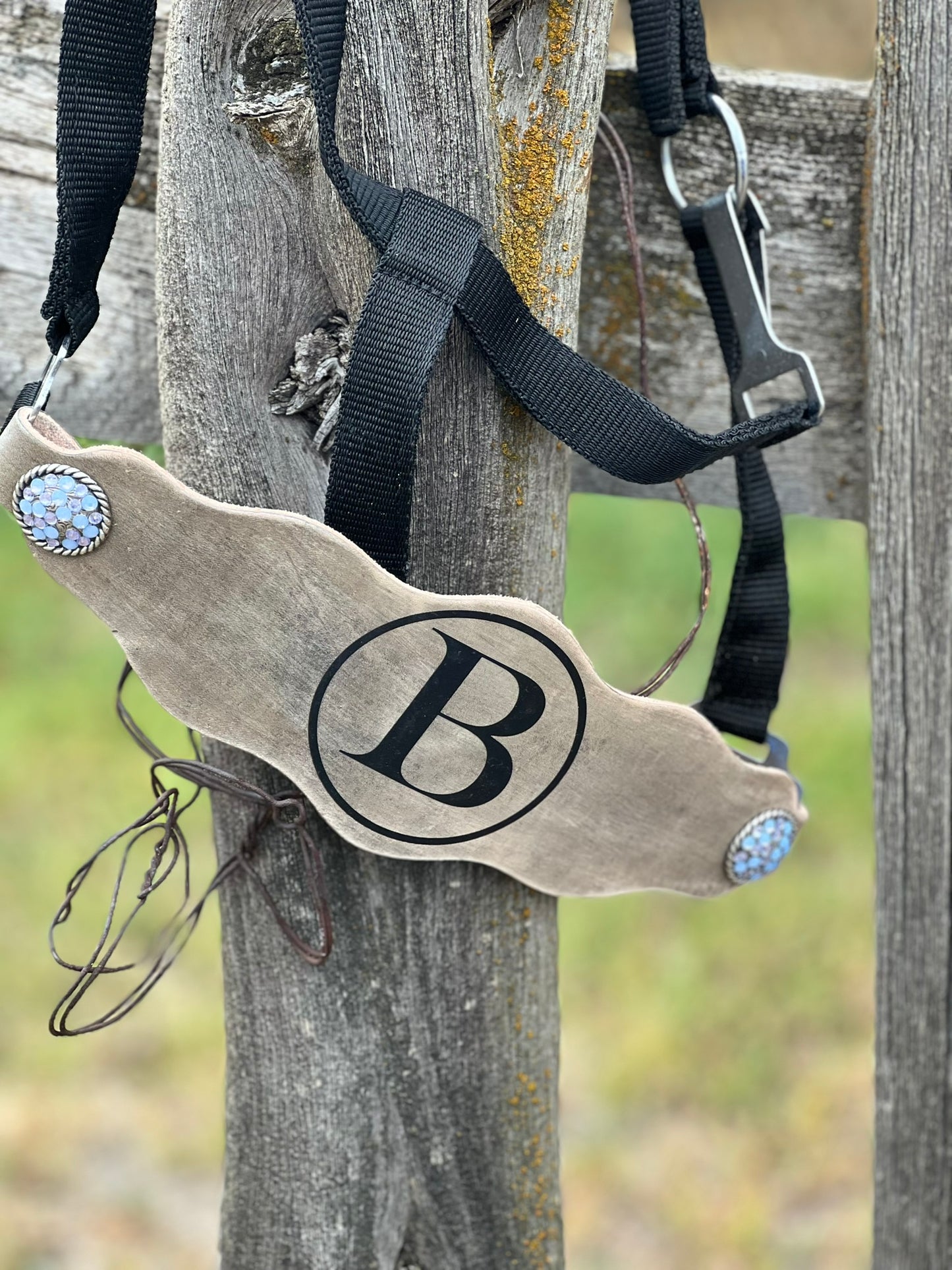 Custom Horse Halter