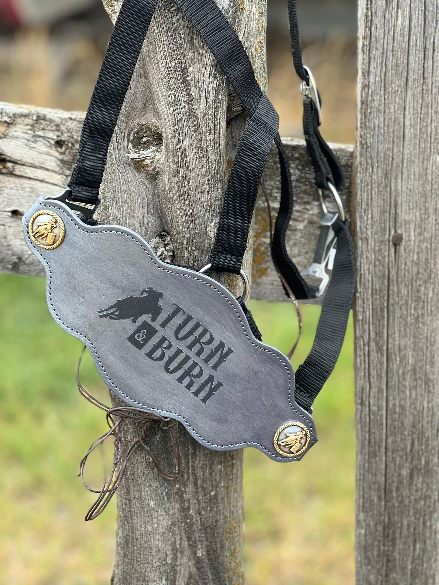 Custom Horse Halter