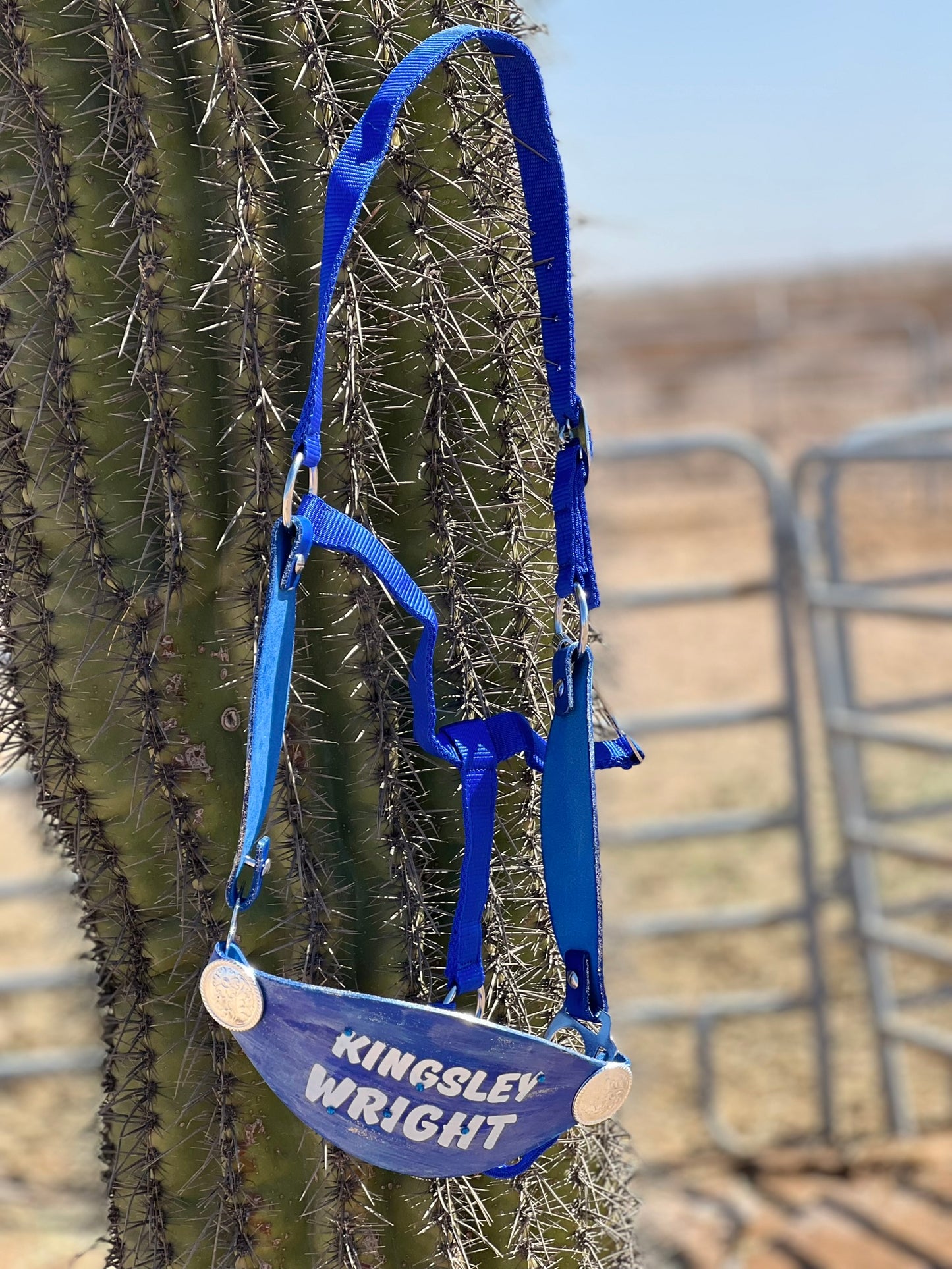 Customized Horse Halter