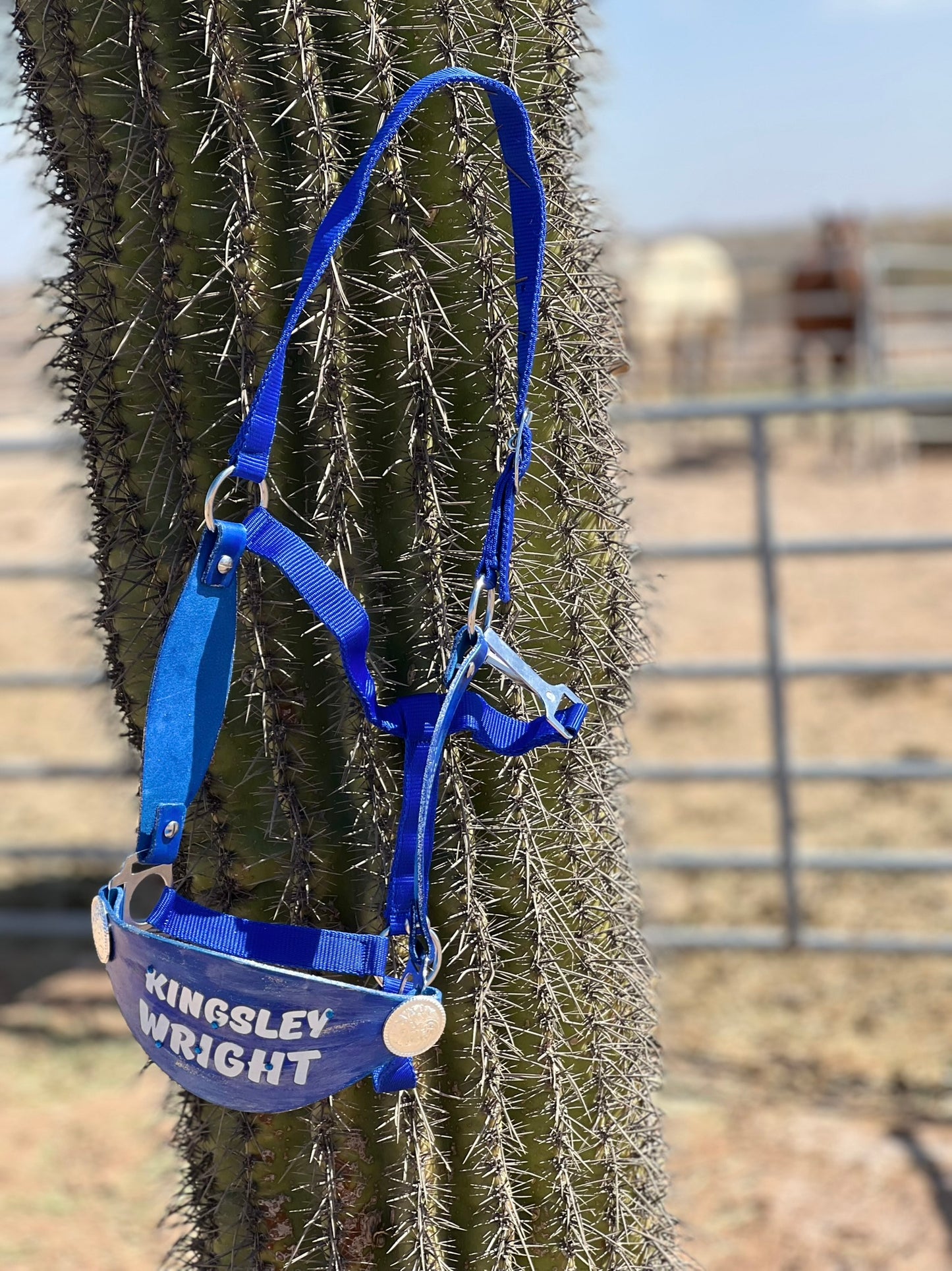 Customized Horse Halter