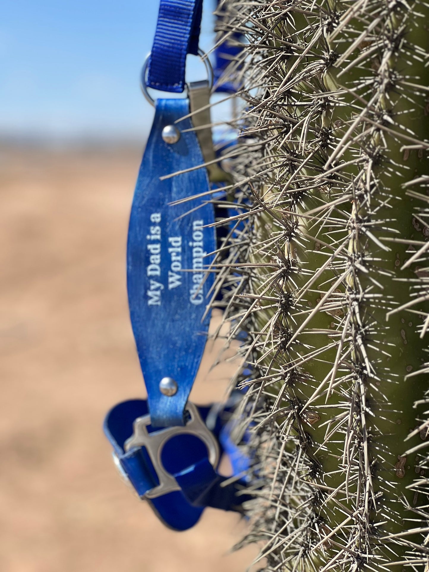 Customized Horse Halter