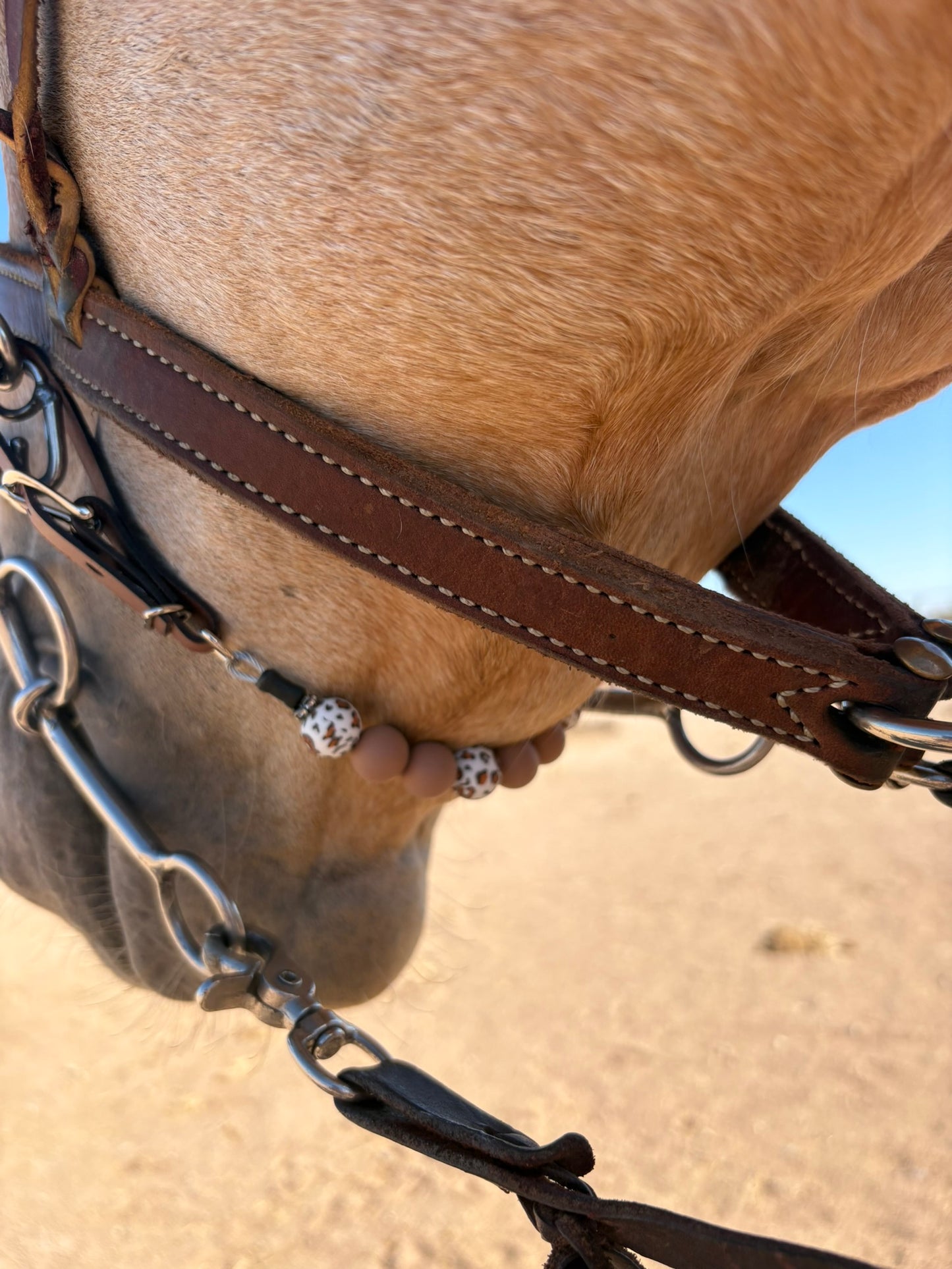Curb Strap