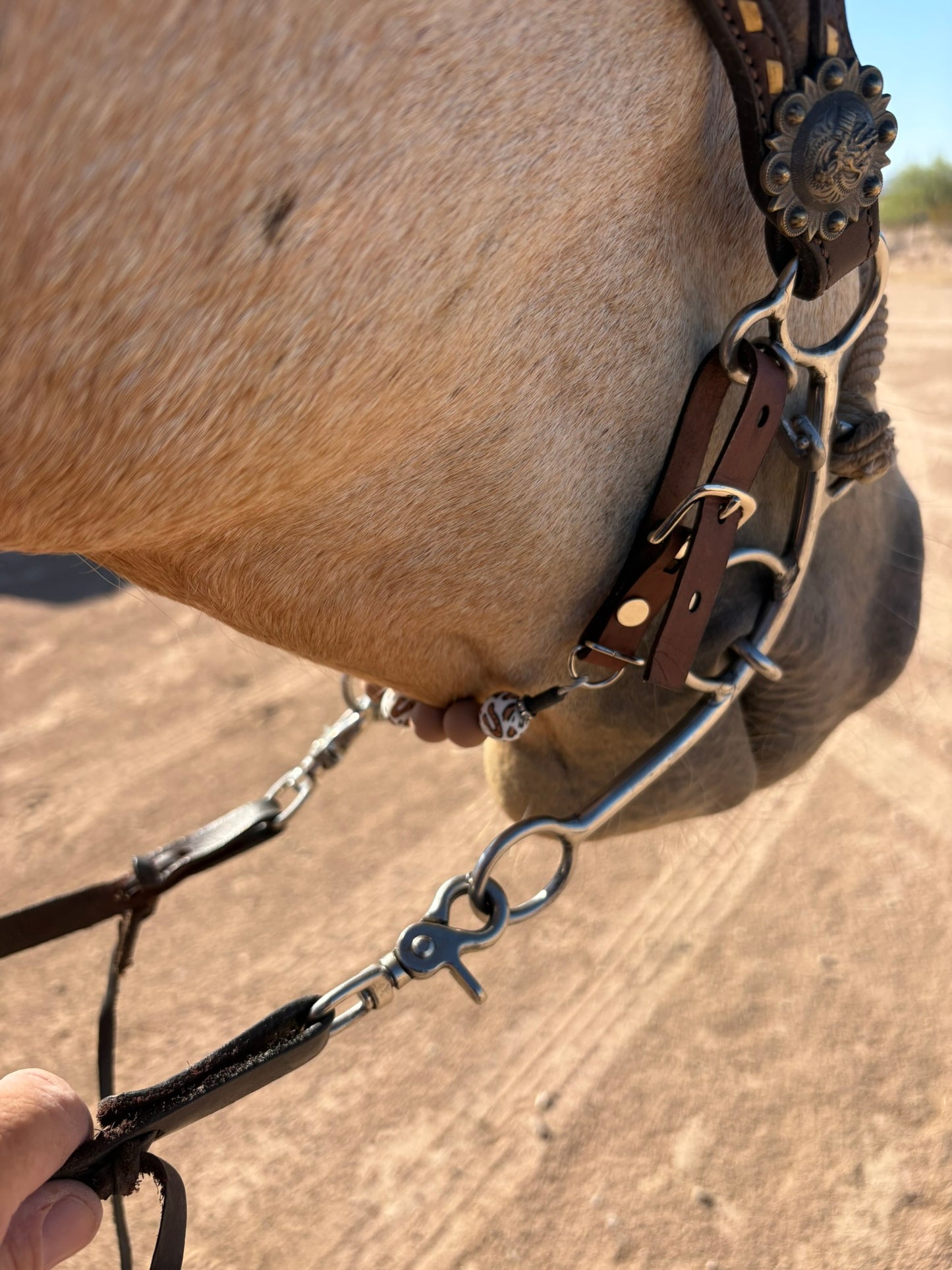 Curb Strap