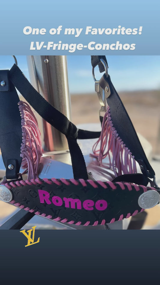 Customized Horse Halter